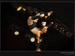 acrobat6